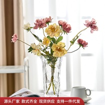 Simple vase Internet celebrity transparent glass living room TV cabinet flower ornaments creative Nordic water-grown flower arrangement