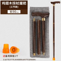 Модель трех -сечения куриного крылатого крыла