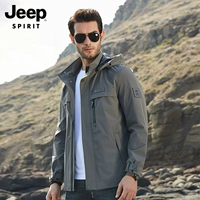 2752 Iron Grey-Conduciational Model