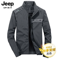 J4002 Grey (обычная модель)