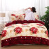 Flannel quilt cover đôi mùa đông dày ấm áp lông thú sinh viên đơn ký túc xá san hô chăn đơn mảnh 	ruột chăn phao	 Quilt Covers