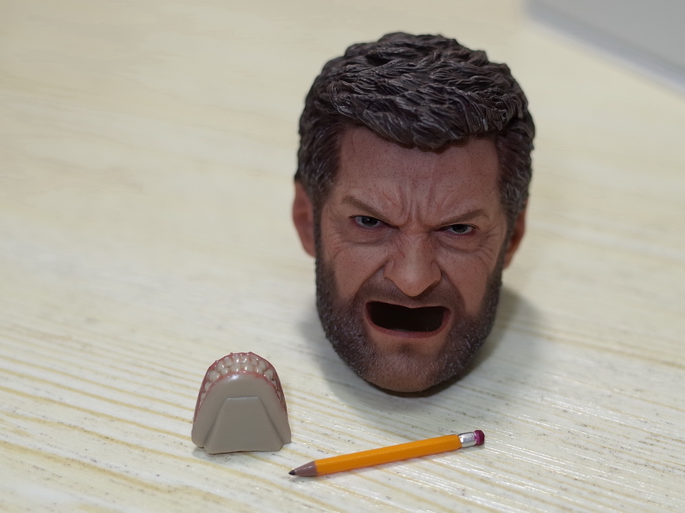Eleven 1//6 wolverine logan Hugh jackman headplay Custom FIGURE TOYS IN STOCK