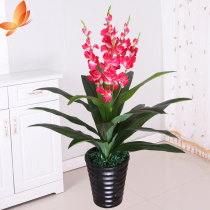 Simulation flower orchid plastic flower Living room indoor floor silk flower decoration plant Phalaenopsis potted office fake flower