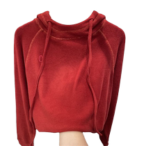 European German velvet hooded long-sleeved sweatshirt for women 2022 autumn and winter new style foreign style inner loose velvet warm bottoming shirt