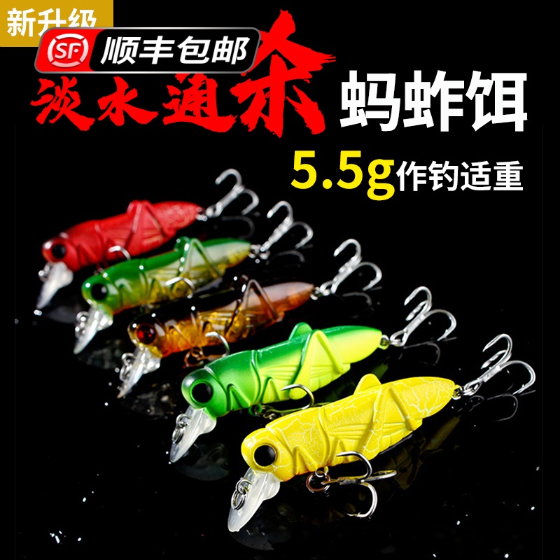 Hasda Luya bait Luminous Mino insect bait Carp grass carp Crucian carp Freshwater bionic grasshopper Luya bait