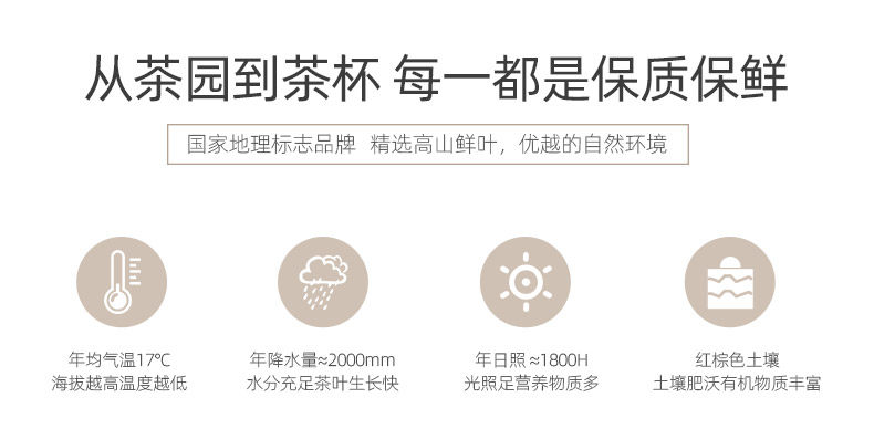 呱呱星 2020新茶 安吉白茶 125g 图5