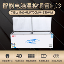 Heqiang 718 Freezer Commercial Large Capacity Horizontal Refrigerated Copper Tube Single Temperature Double Open Supermarket Ice Cream Freezer