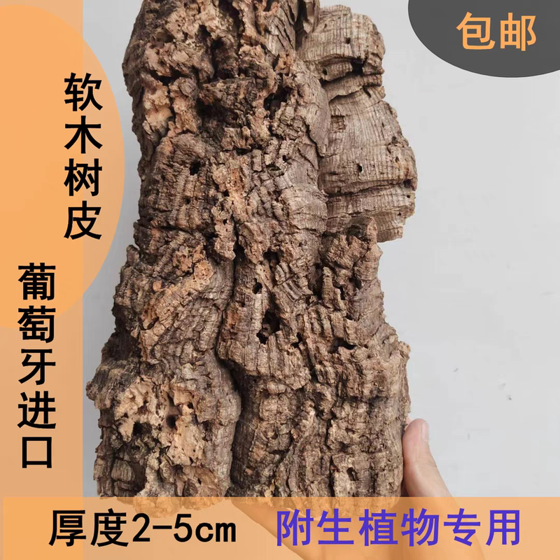 Portuguese Cork, Fern Board Plant, Dendrobium Orchid, Natural Tree Bark, Reptile Rainforest Landscaping