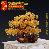 B2 Orange -Yellow Shul