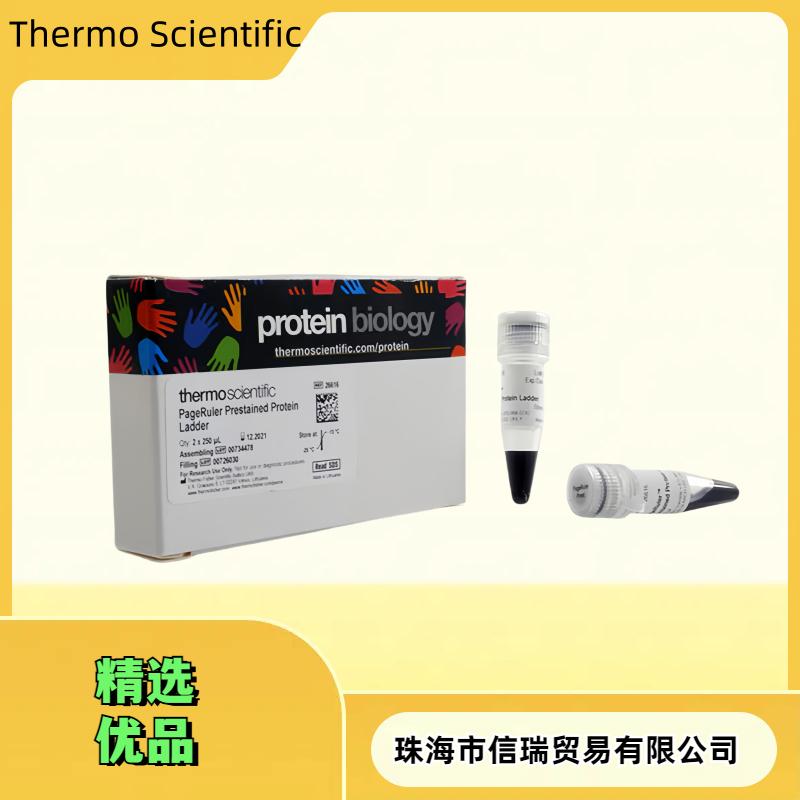 赛默飞26617 10-180kda蛋白marker 预染蛋白分子量标准10至180kDa