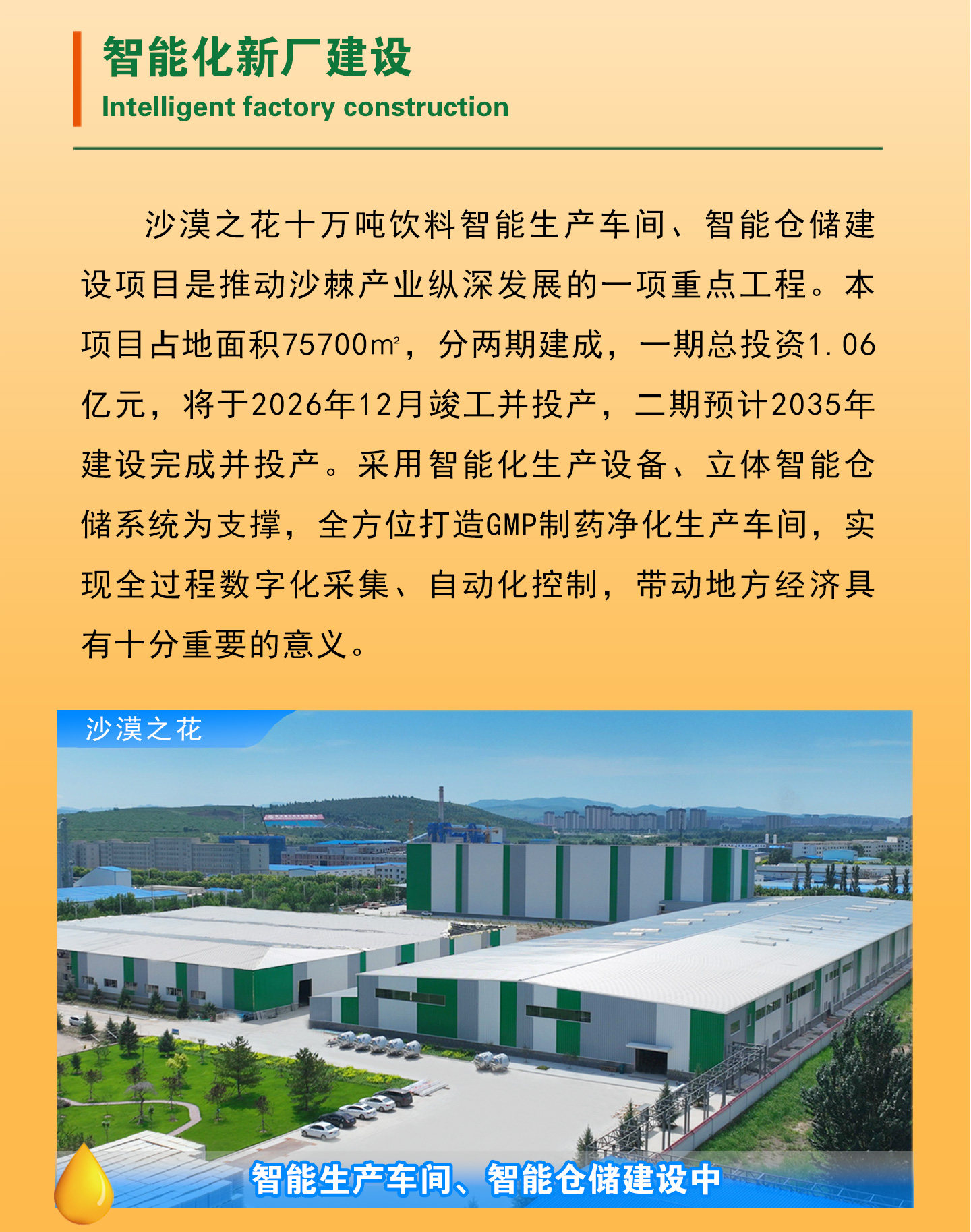 安享好物 安享C级混合果蔬汁-沙漠之花经典沙棘汁 国标 