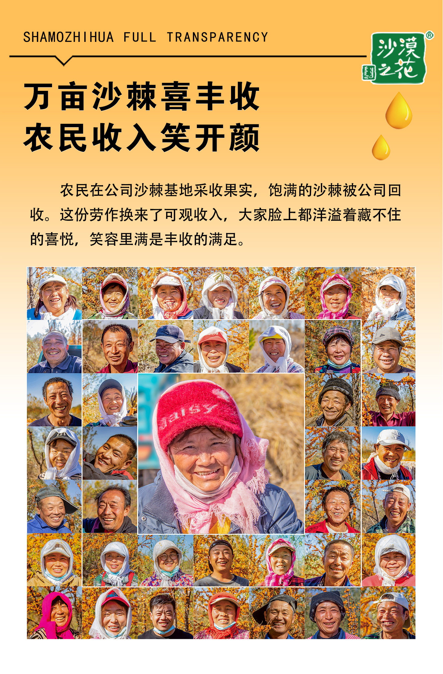 安享好物 安享C级混合果蔬汁-沙漠之花经典沙棘汁 国标 