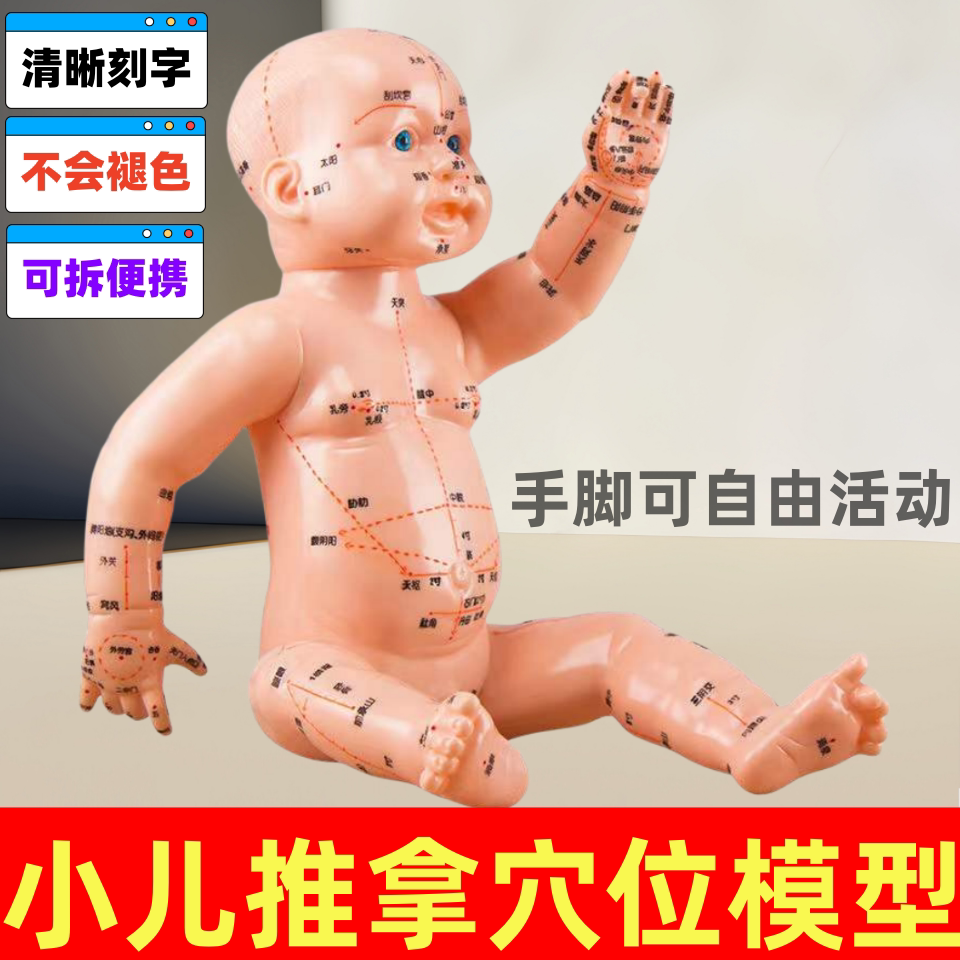 小儿推拿按摩练习家政月嫂培训学习宝宝十二经络模型婴儿推拿模型
