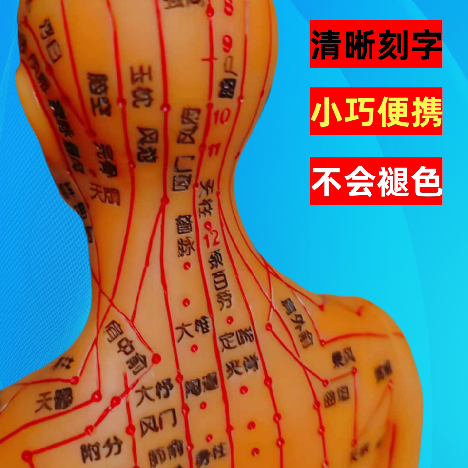 针灸穴位模型图十二经络小铜皮人小巧便携38厘米中医人体穴位模型