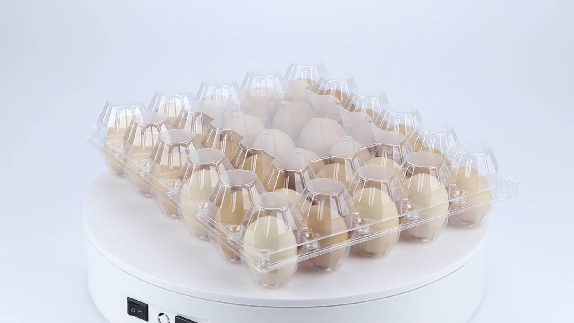 Reusable Washable Empty Plastic Chicken Egg Carton 30 Eggs Clamshell