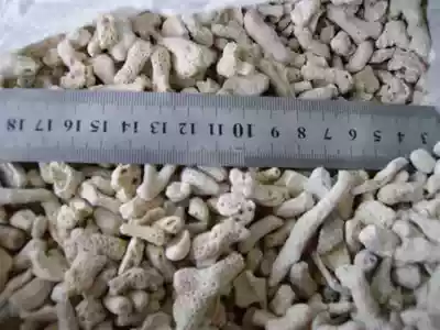 Natural coral bone coral sand coral sand coral stone from 10kg to 2 yuan a catty