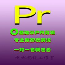 最新PR软件PR视频教程 专业影视解说制作电影剪辑  一对一辅导