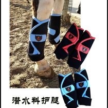 horse leggings