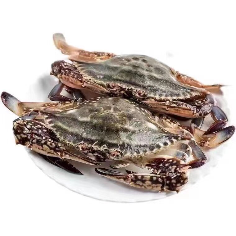 鲜答答三门洞港海鲜企业店
