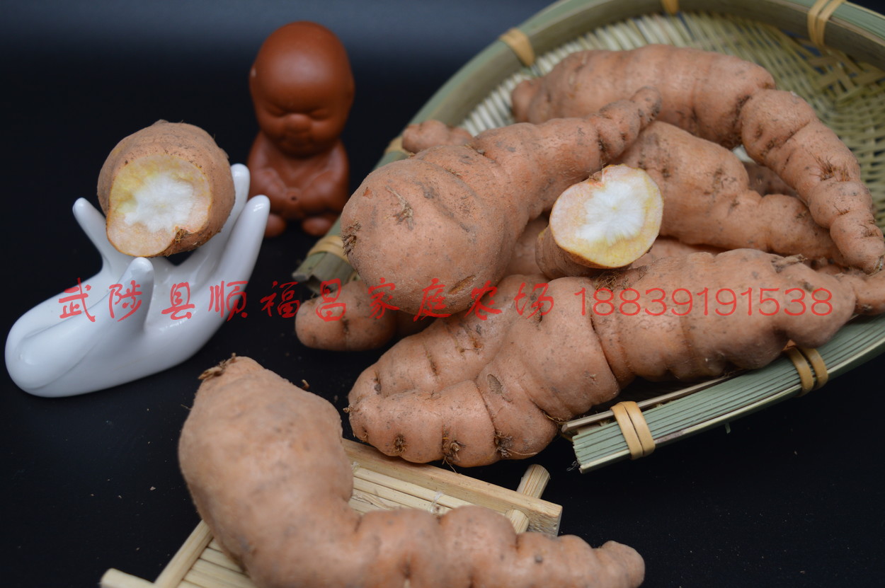 Authentic bulk jiaozuo fresh raw land fresh Henan Wuzhi Huaidi yellow 1 kg real-time large now digging and now