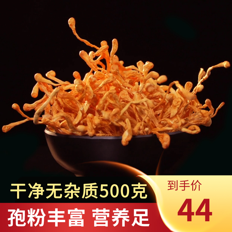 Forest Island North Caterpillar Fungus Golden Caterpillar Fungus Caterpillar Fungus Caterpillar Fungus Dried Goods 500 gr  