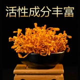 林岛 North Cordyceps Gold Cordyceps cordyceps цветочные cordyceps cordy cordycene сухой товары 500 грамм бесплатной доставки