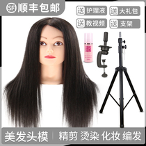 Hairdressing head model full true hair apprentice model head makeup hair practice head wig haircut doll head special bracket