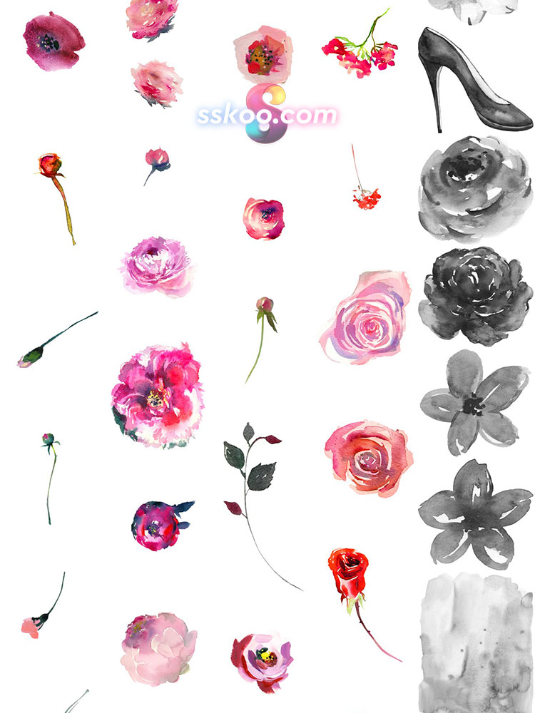玫瑰月季花朵花卉叶子手绘水彩剪贴画插画PNG免扣设计装饰素材插图16