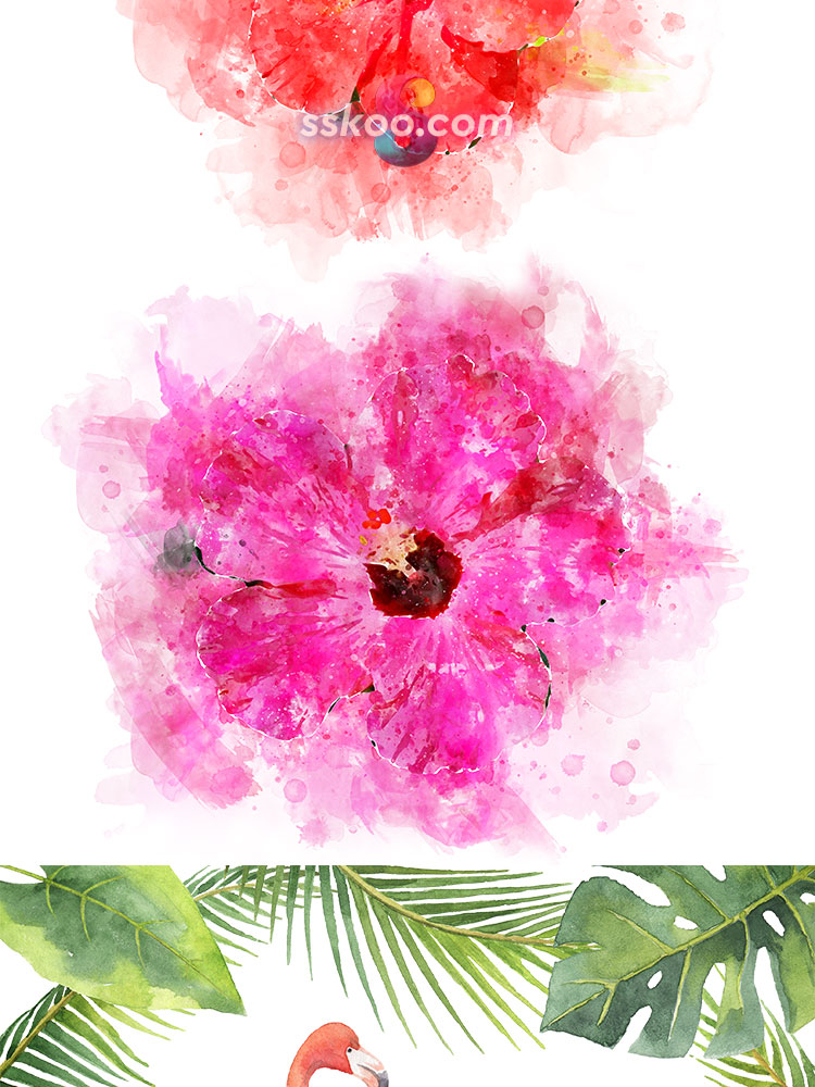 热带雨林花草树木树叶动物植物手绘水彩插画PNG免扣AI设计PS素材插图15