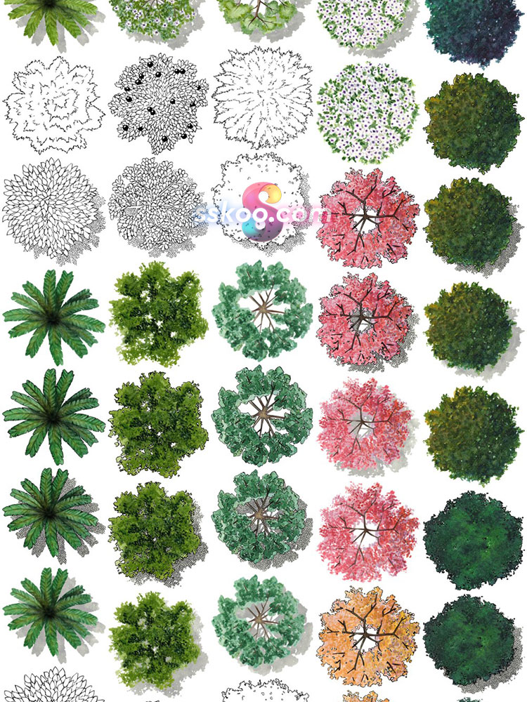 环艺顶视图树木树丛植物手绘水彩剪贴画插画PNG免扣背景透明素材插图19