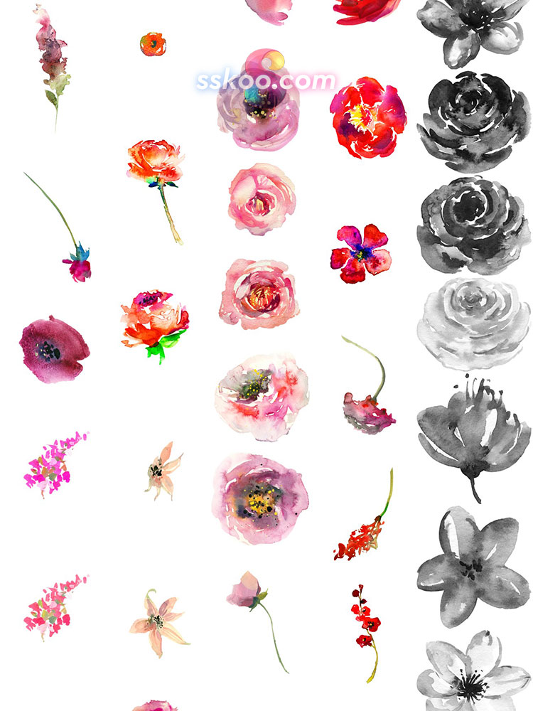 玫瑰月季花朵花卉叶子手绘水彩剪贴画插画PNG免扣设计装饰素材插图15