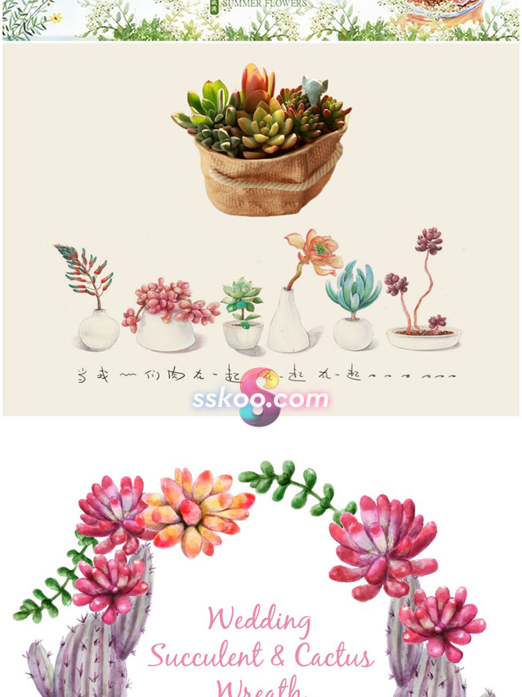 手绘仙人掌多肉植物盆栽植物场景彩铅绘画插画插图AI矢量设计素材插图12