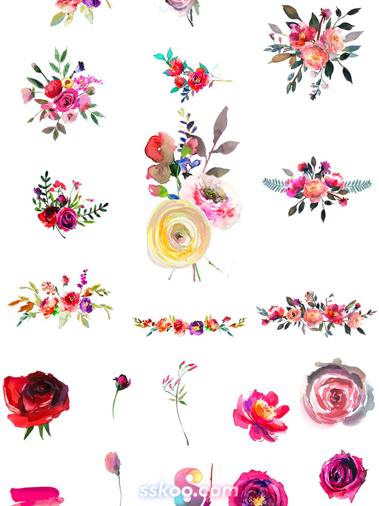 玫瑰月季花朵花卉叶子手绘水彩剪贴画插画PNG免扣设计装饰素材插图11