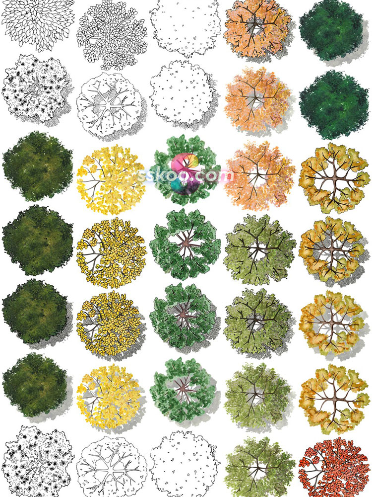 环艺顶视图树木树丛植物手绘水彩剪贴画插画PNG免扣背景透明素材插图20