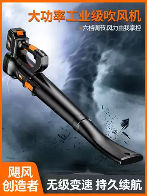 Rechargeable blower, hair dryer, high-power industrial dust blower, Lithium electric, strong leaf blowing, snow blowing machine