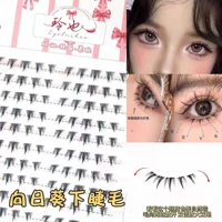 Нижние ресницы подсолнуха