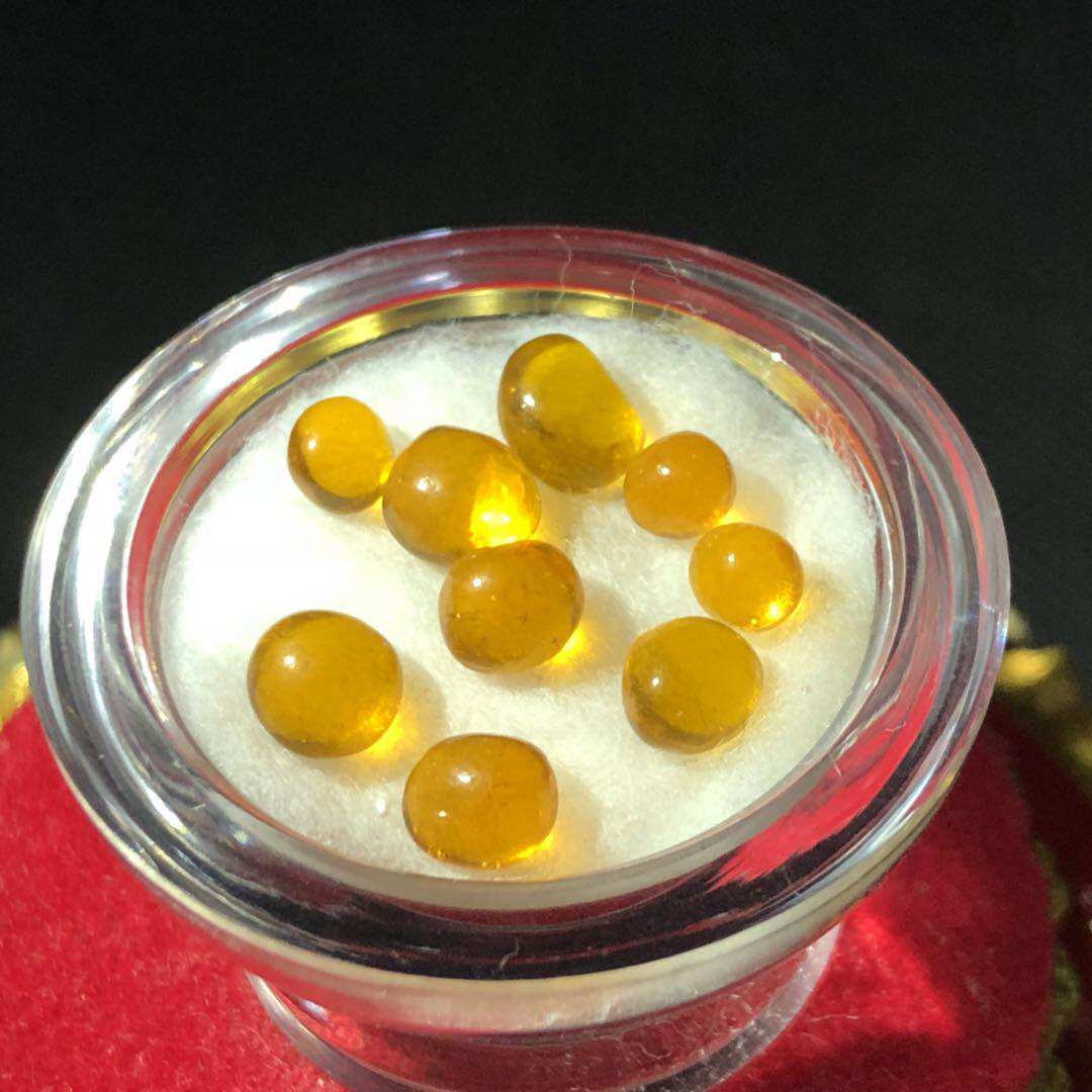 Sakyamuni Vernaud is robust for the Schleitättgäu box 3-5mm orange