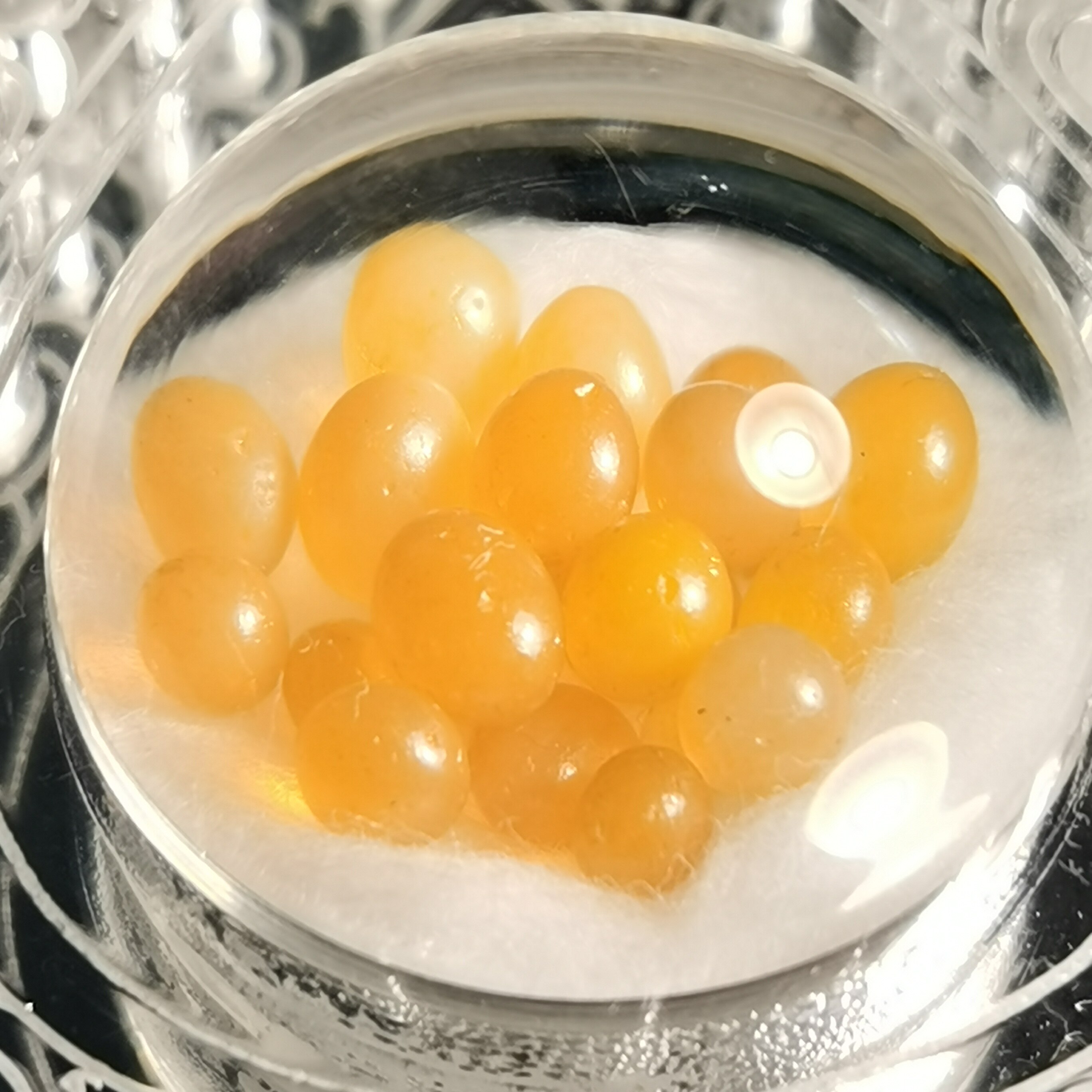 Shakyamuni Buddha Colorful N Sturdy Son Forged to Fold for Relita Gawu (Golden) N4