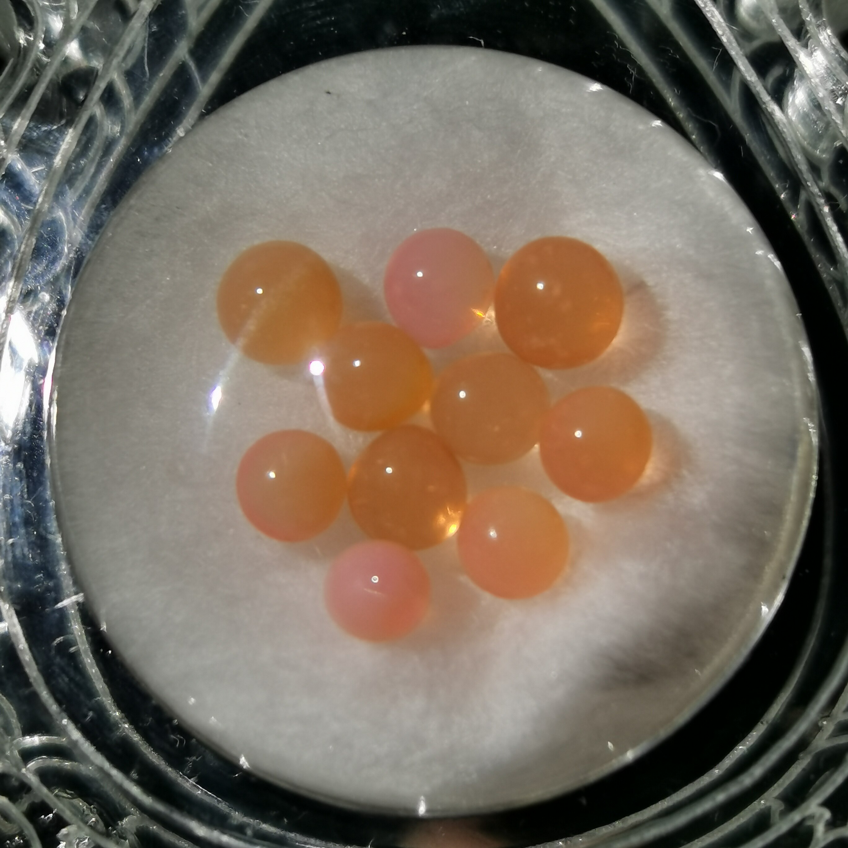 Sakyamuni Buddha Seven colorful Nauts are fortified for the Schleitägäu Box (orange) N1