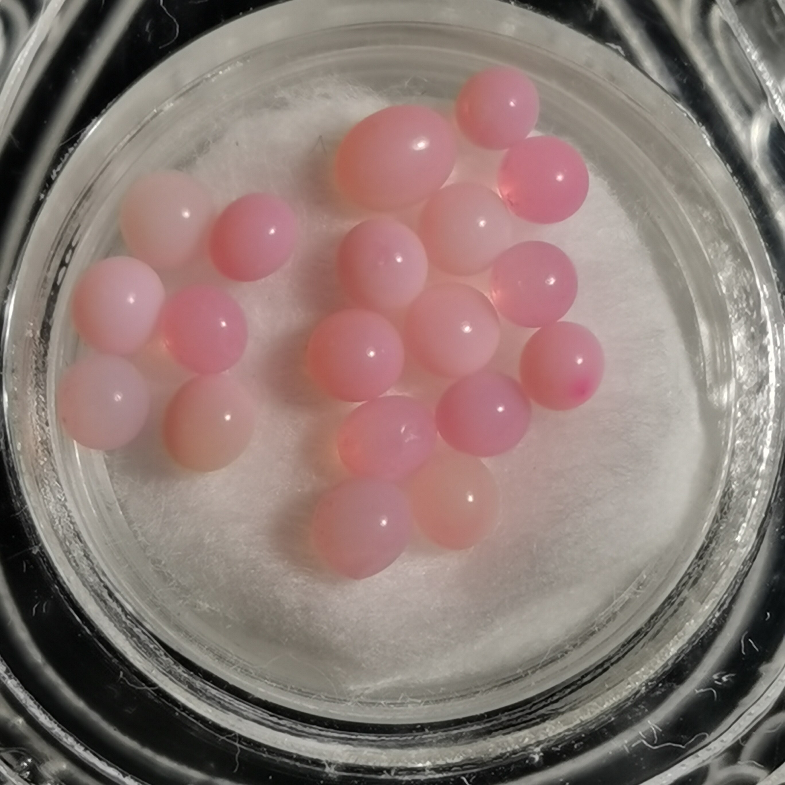 Sakyamuni Buddha Seven colorful Nauts are fortified for the Schleitägäu box (pink) N3