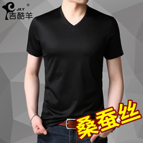 Short-sleeved T-shirt mens V-neck youth mulberry silk thin section T-shirt mens chicken heart collar half sleeve ice silk solid color summer