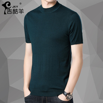Semi-turtleneck short-sleeved cardigan mens spring and Autumn youth solid color trend sweater Half-sleeve T-shirt sweater base shirt