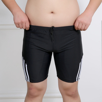 Fatty and size male swimming trunks shorts fat penture swimsuit summer