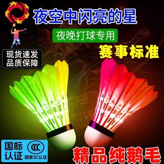 German Luminous Badminton Pure Goose Feather Durable Indoor and Outdoor Training Nylon Plastic Night Fluorescent Light-Emitting Ball