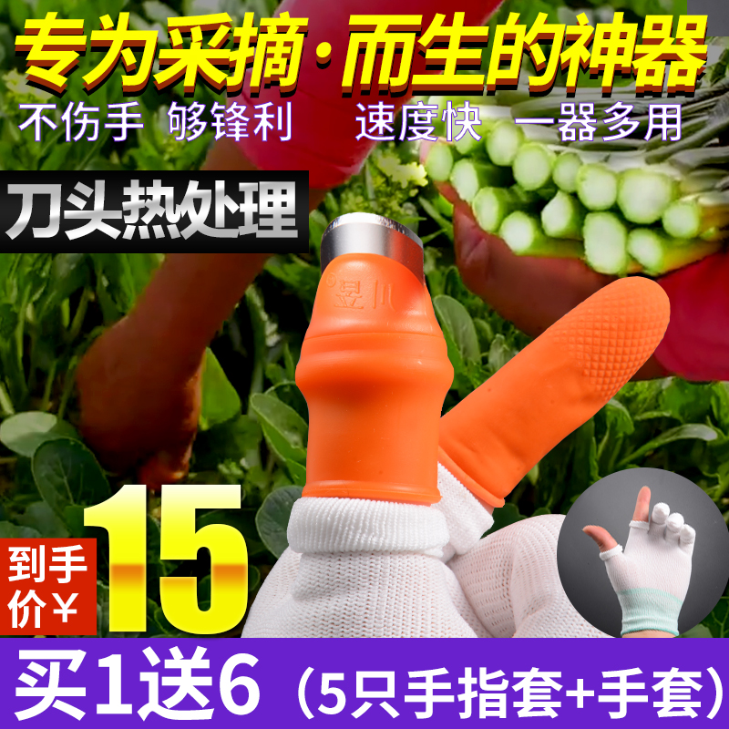 Picking pepper artifact special gloves picking iron nail set vegetable picker pinching vegetables picking beans and agricultural hand mother thumb knife