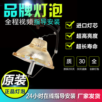 Hitachi CP-X250 Projector Bulb Projector Bulb