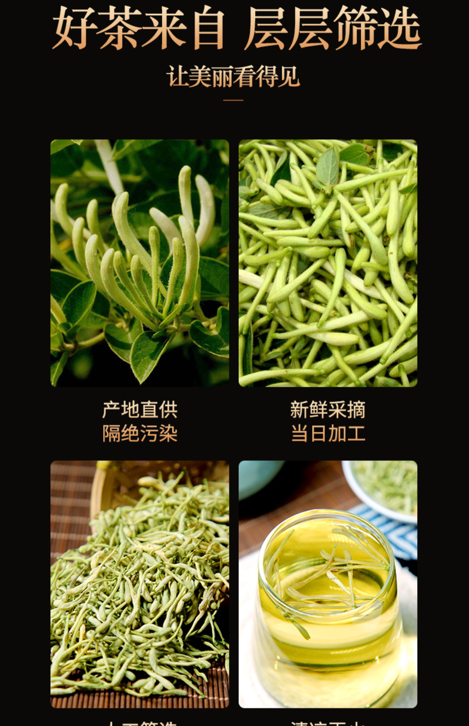 【两罐装】金银花茶下清巨鹿火正品