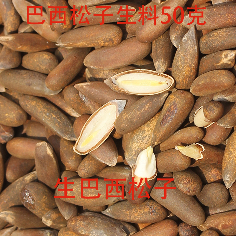 Natural fresh thin crust raw Brazilian raw pine womanking snow ground parrot squirrel staple food snacks 50 gr