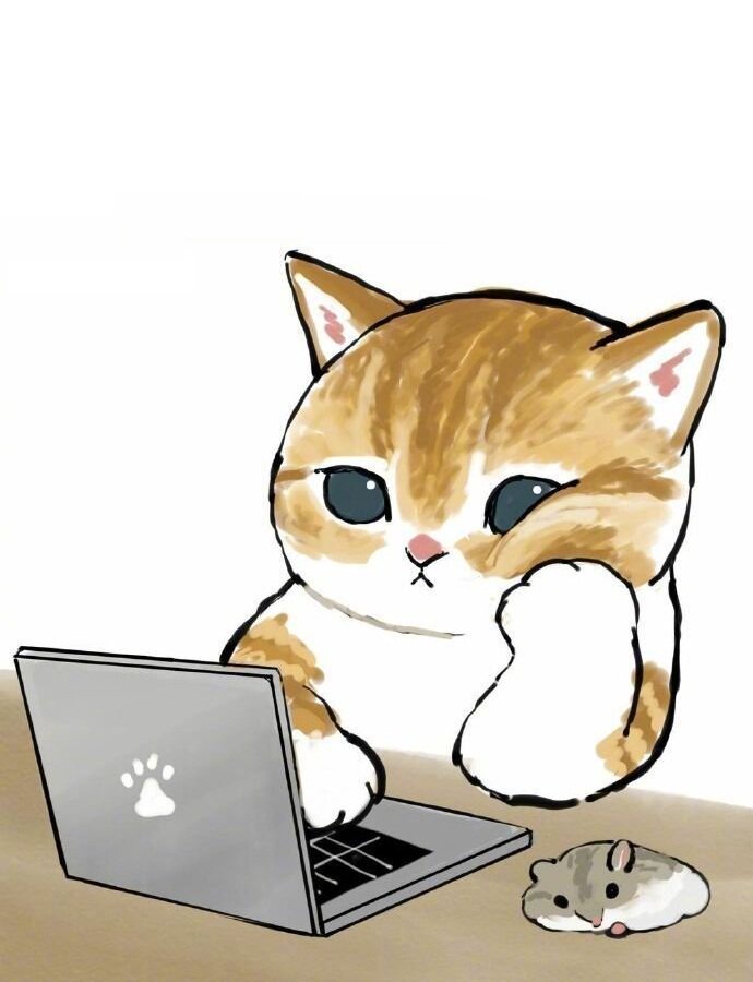 猫小姐正版球衣印号专门店