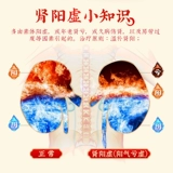 Пекин Тонгрентанг Официальный веб -сайт Guidi Dihuang Pills Тонические почки и почки, почки и почки Ян, Gui Yidi Yantong Yantong Yaoshi, Gui Dihuant Pills